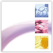 Corporate Capabilities